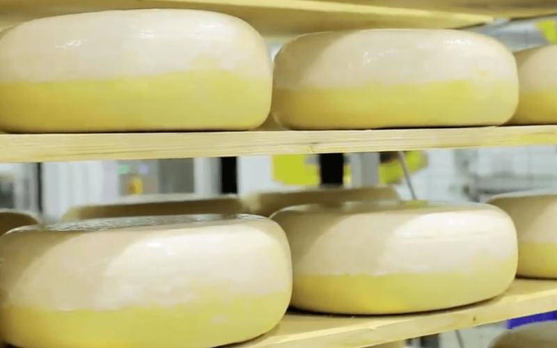 勾起你的强迫症惊人的食品切削加工奶酪厂